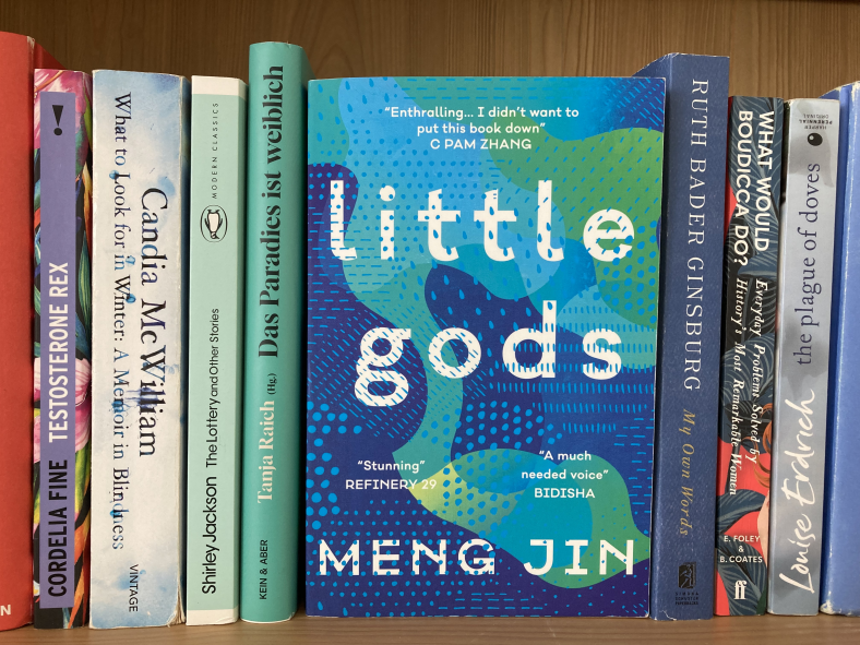 Wir besprechen Little Gods von Meng Jin